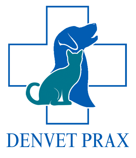 DenVet Prax